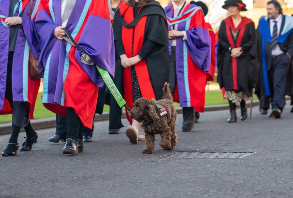 Graduates walking in line outside a Queen's University Belfast building, with a pet dog accompanying them, celebrating their graduation.