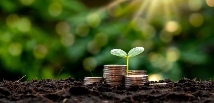 seedling in soil surrounded by stacks of coins