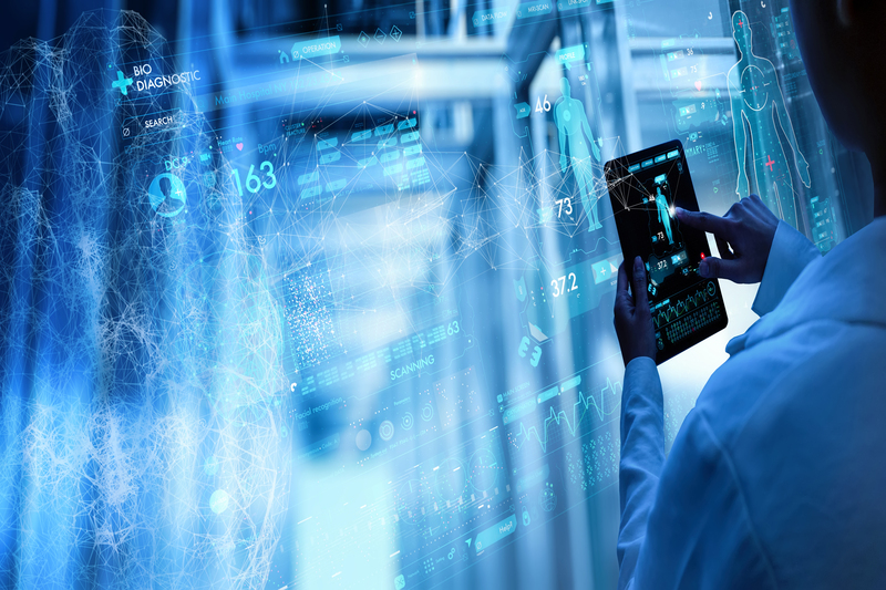 Doctor examining patient scan on screen