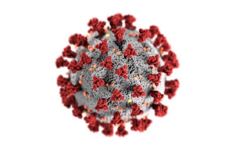 Close-up of a coronavirus cell