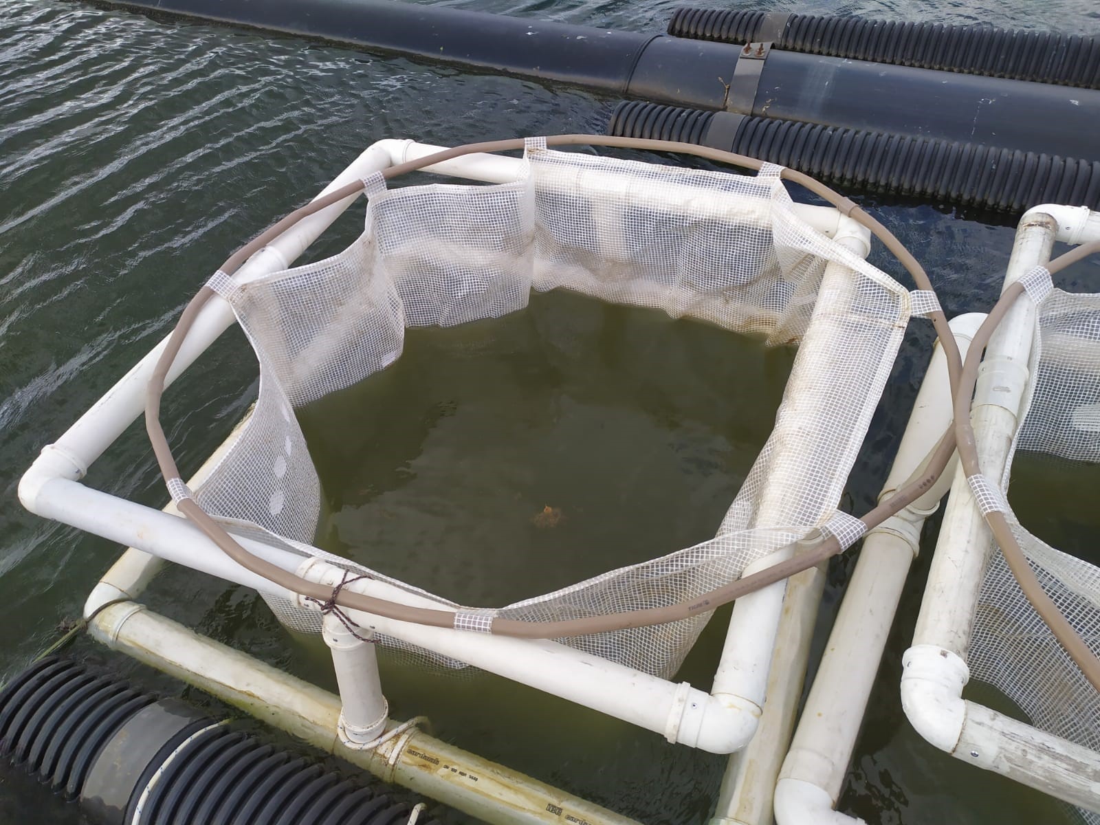 photocatalysis research, Brazil