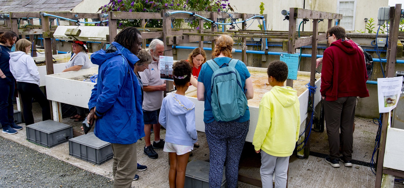 members of the public being shown some of the aquatic life in Strangford Lough at the Queen's University Belfast Marine Laboratory Open Day 2024